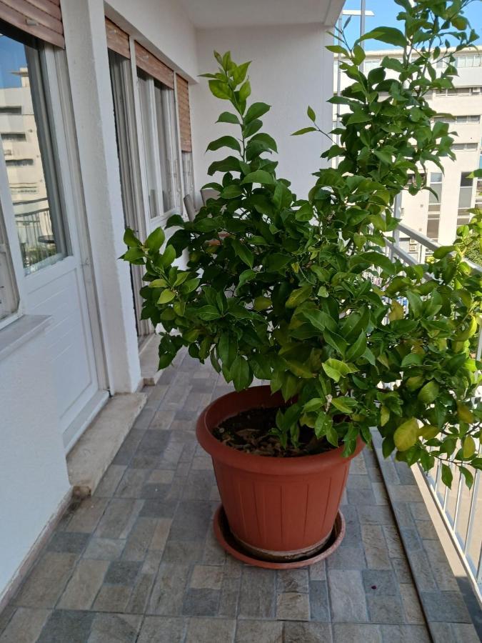 Room With Private Toilet And Balcony In City Center In Shared Apartment Split Eksteriør bilde